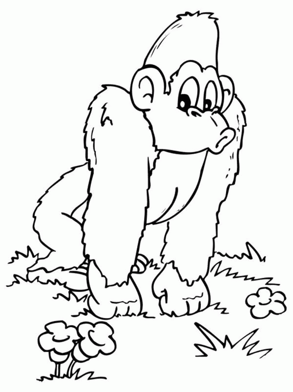Plansa de colorat cu Gorilla 14 6